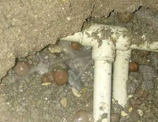曲周卫生间测漏