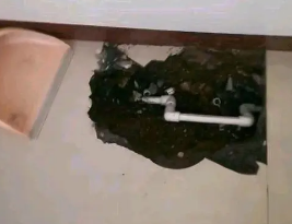 曲周卫生间测漏水多少钱